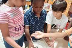 WhatsApp-Image-2026-03-02-at-10.04.37-2