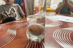 WhatsApp-Image-2025-11-12-a-15.34.29_75154258