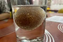 WhatsApp-Image-2025-11-12-a-15.34.30_7716f23e