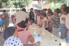 IMG-20241118-WA0061