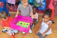 IMG-20250519-WA0016