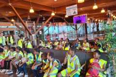 IMG-20250530-WA0026